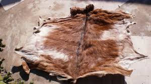 Subproductos (piel, huesos, grasa)